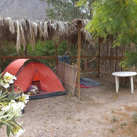 Astro Camping Experience Vicuña Esterno foto